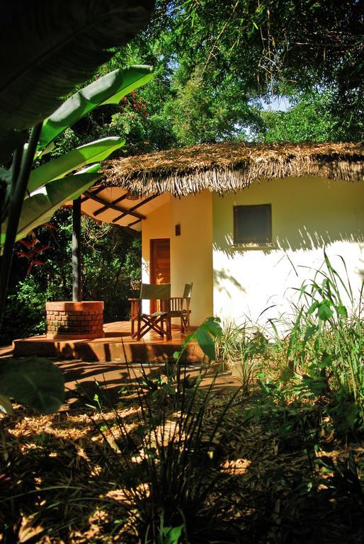 Moivaro Coffee Lodge Arusha Habitación foto